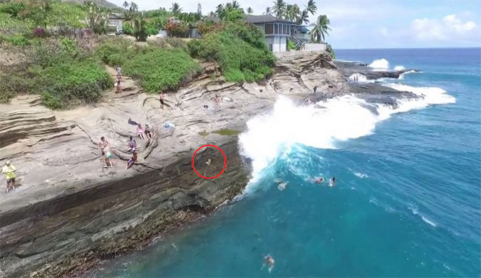 Dog swept off cliff