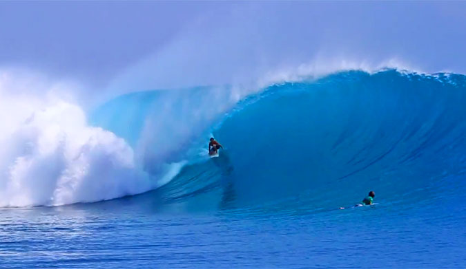 Kandui Mentawaii