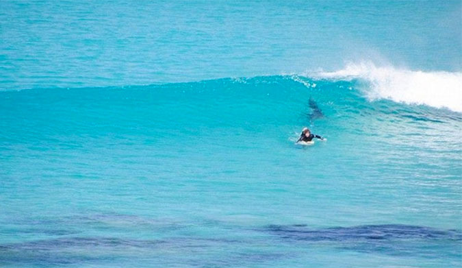 Not the scene you'd ever wish for. A 3-meter great white shark tails a surfer at West Beach near Esperance in Western Australia. Photo: Frits De Bruyn