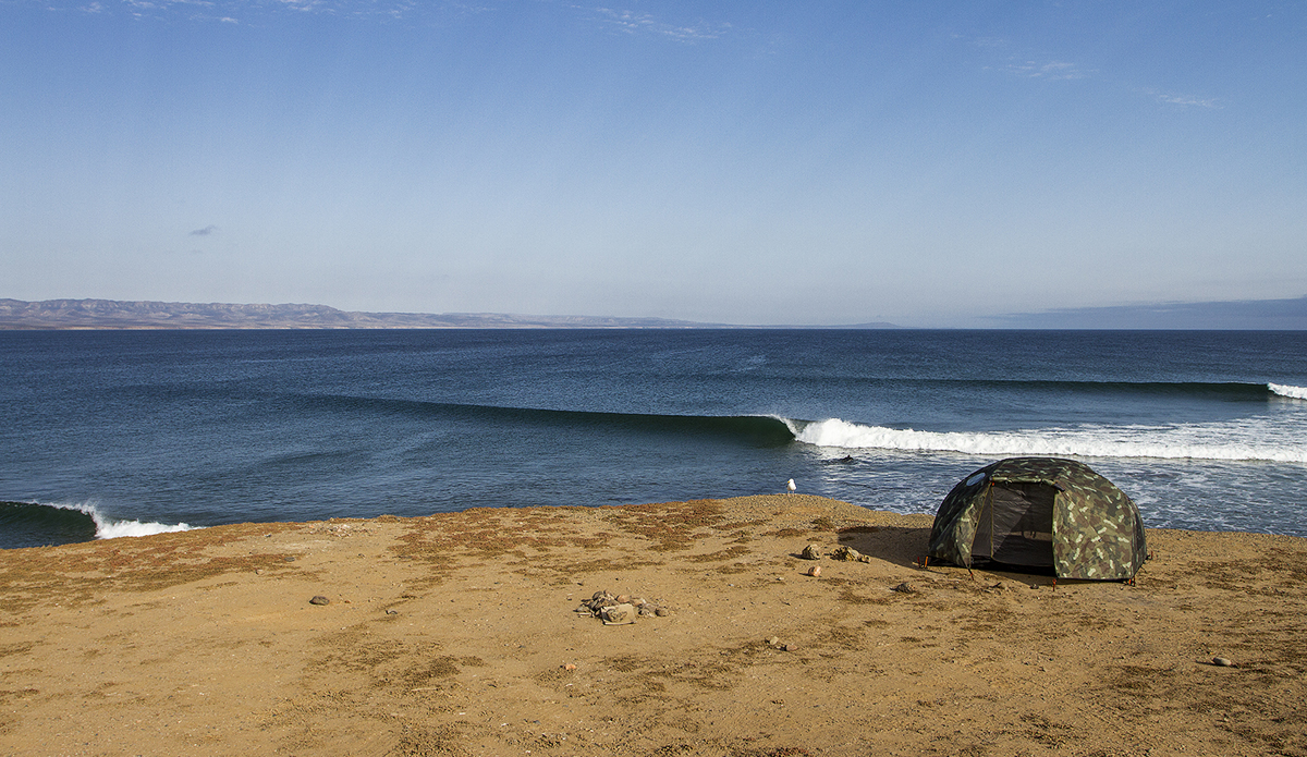 #My5Lineups: Mark McInnes