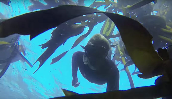 Hate to be a spoiler, but we didn't get eaten by a shark...