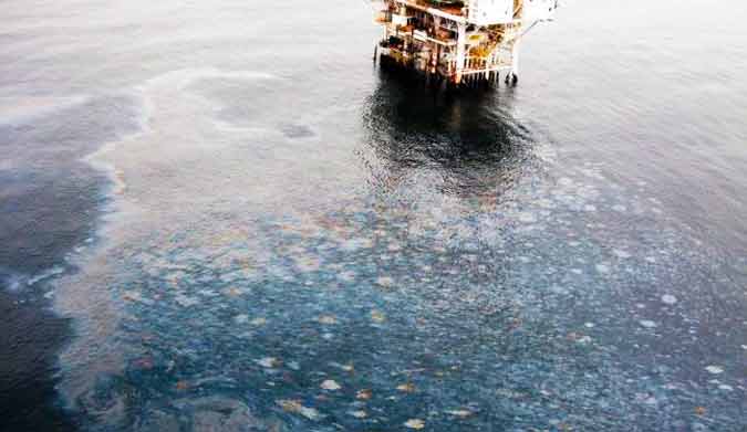 Federal officials said that it could very well be from the oil spill two months ago.