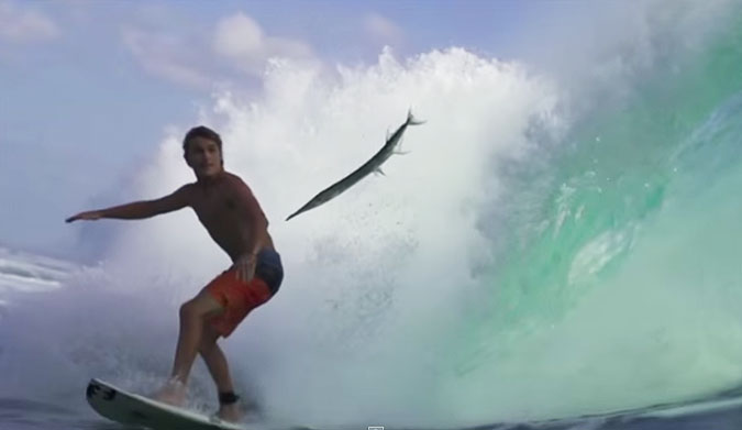 When Mitch Parkinson was concentrating on getting shacked off the Telos Islands in the Indian Ocean and a needlefish made its Icarus attempt, things actually could have gone very wrong.