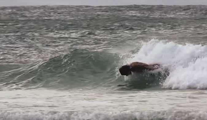 Rasta surfs better than nearly everyone on the planet. It's not just his shortboarding (which is admittedly incredible), but it's his ability to surf on just about anything that floats... or nothing at all.