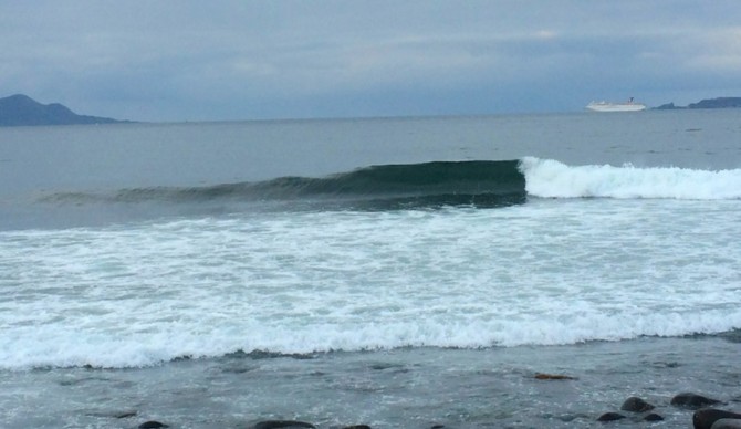 Photo: Trevor Husted
