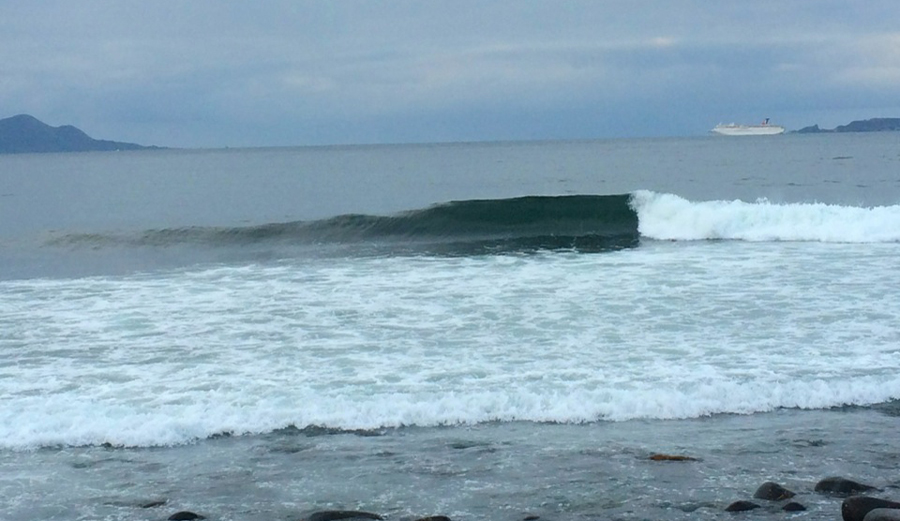 Photo: Trevor Husted
