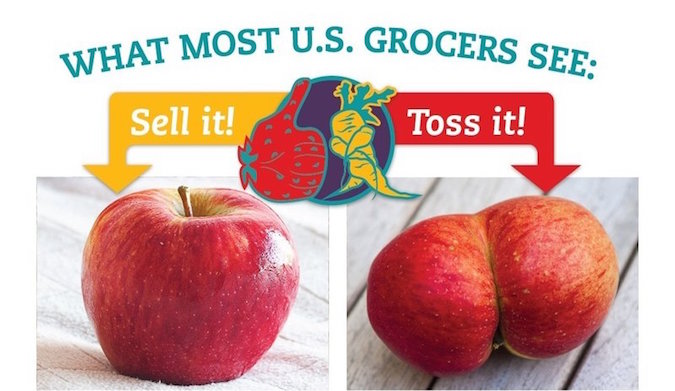 GrocersCarrotsOnly