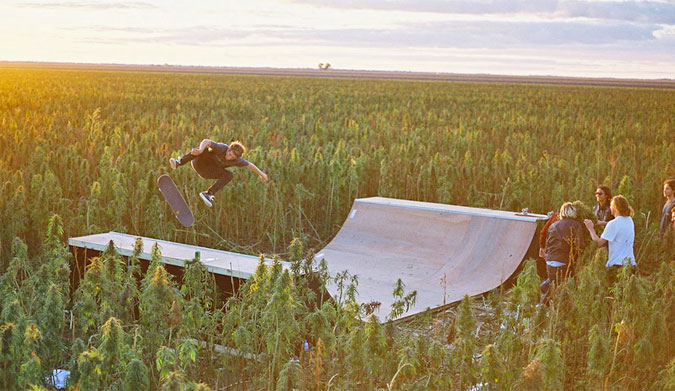 AFENDS HEMP REVOLUTION PART 1: SKATE IN THE HEMP FIELD