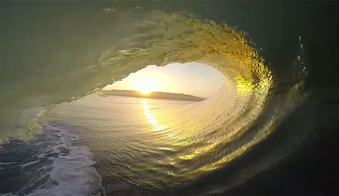 Anthony Walsh Nias