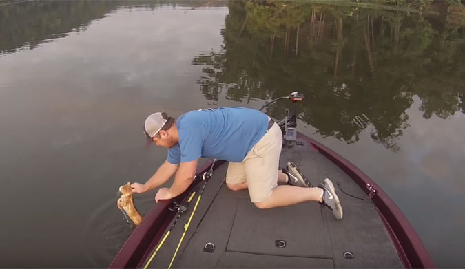 Catfishing