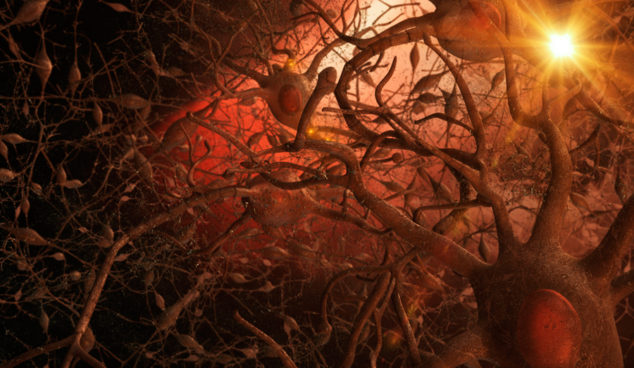 Image: 3Dme Creative Studio