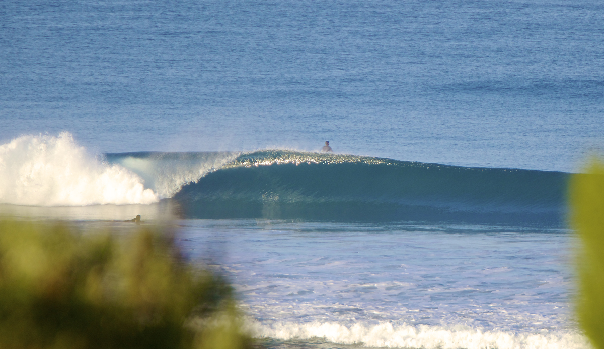 California Dreaming