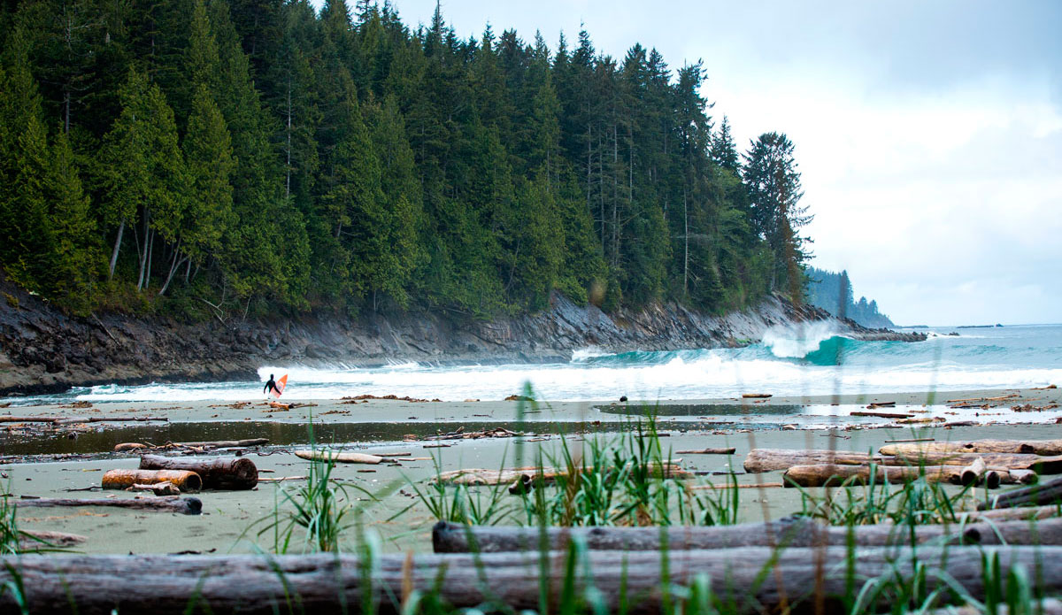 Paradise can be cold