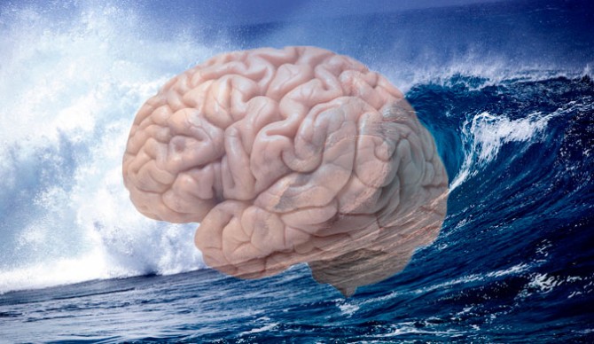 brain-surf