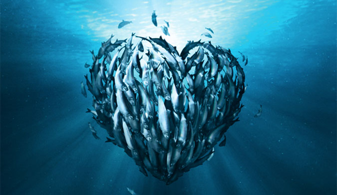 marine stewardship council