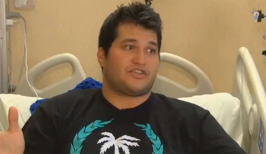 Shark Attack Hawaii