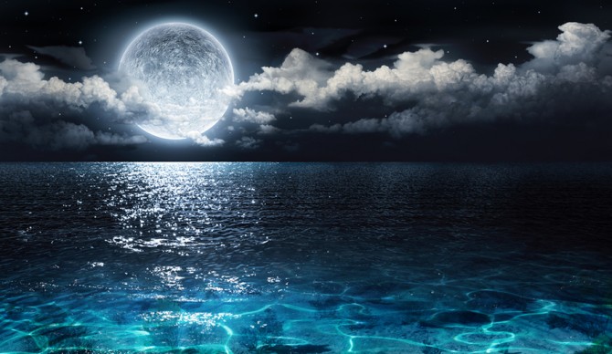C'mon...even if it's small you know you want to. Photo: Shutterstock