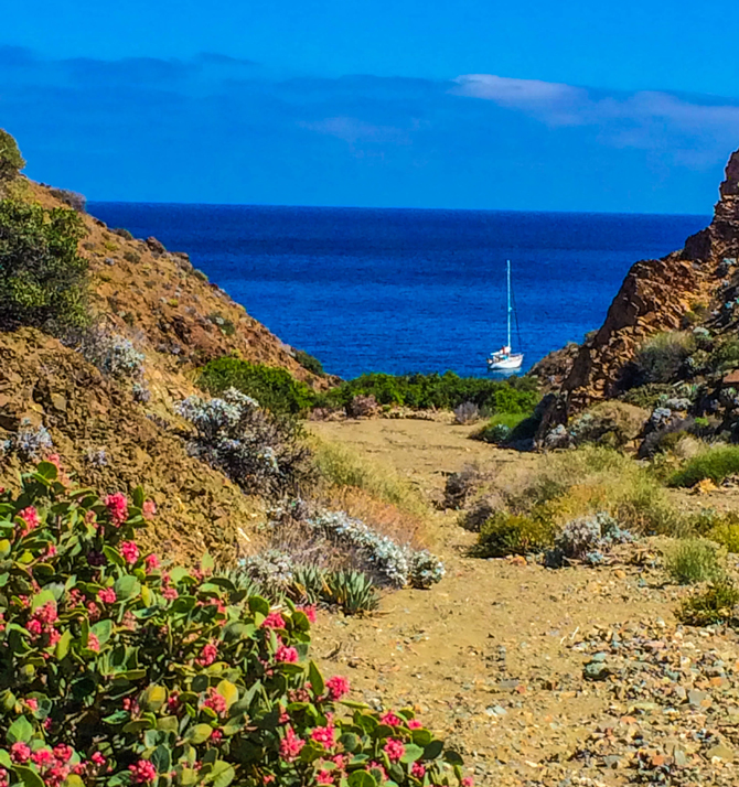 A view from an unnamed canyon on Isla Cedros back to our boat, Oleada. The name means wave, swell, or uprising. Photo: Courtesy of Jess Reilly