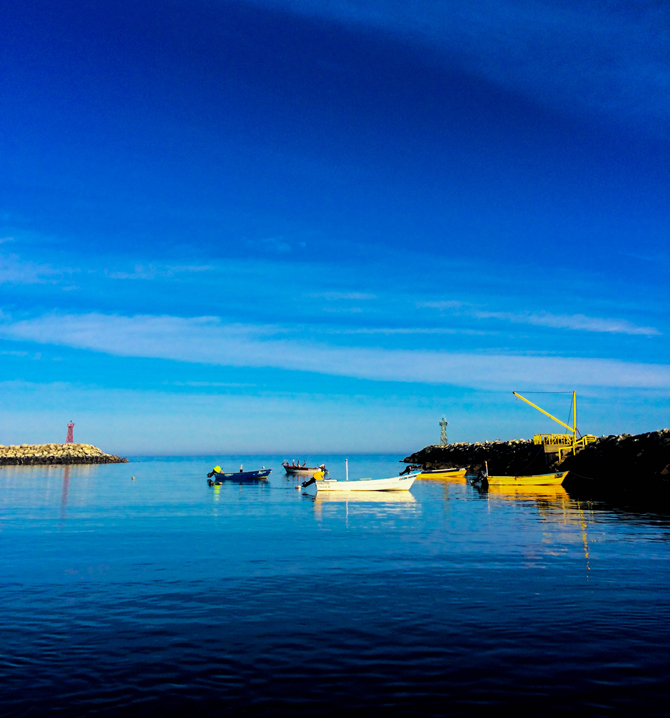 Pangas anchored in the harbor at the only town on Isla Cedros. Photo: Courtesy of Jess Reilly