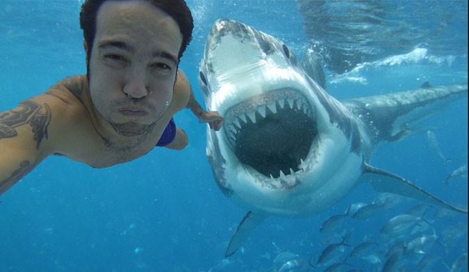 Nope, not real. But isn't this what we immediately picture when we think shark?