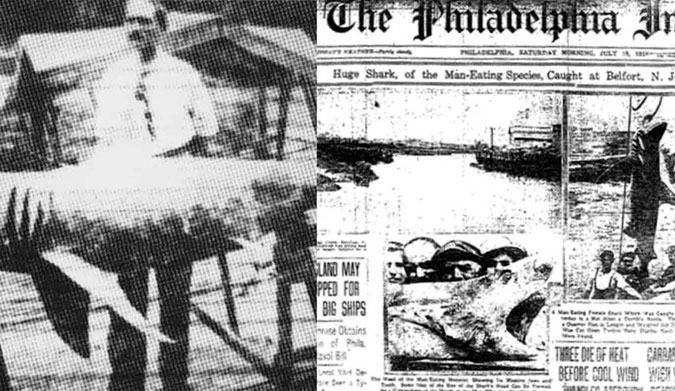 Front page news of the spate of shark attacks on the Jersey Shore, 1916.