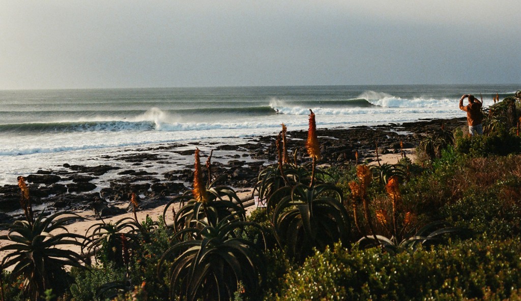 Derrick Disney J-Bay Field Trip