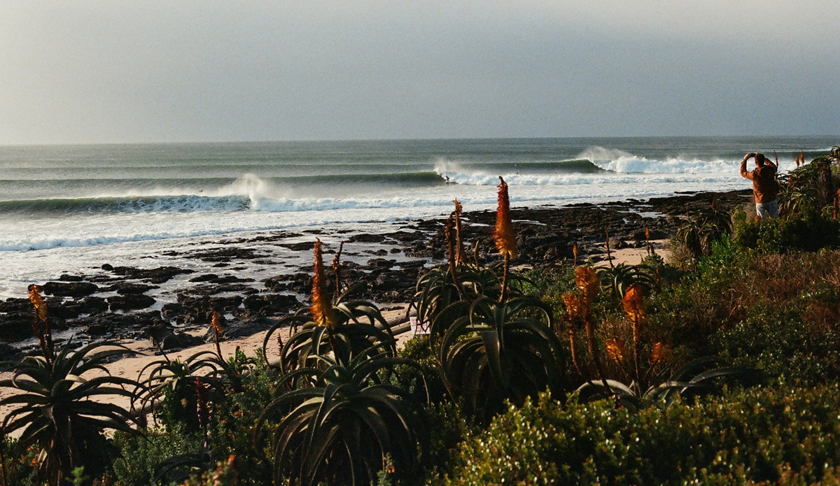 Derrick Disney J-Bay Field Trip