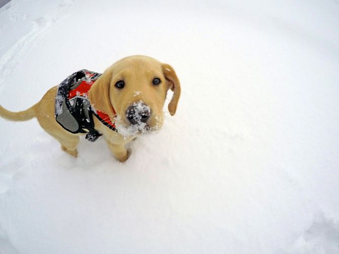 Photo: Vail