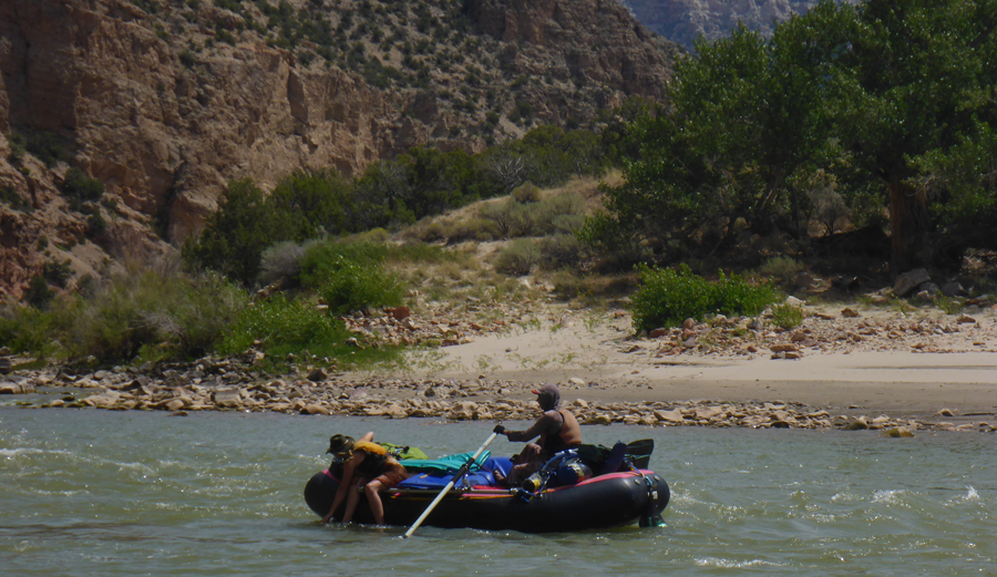 Participants in the Adventurers and Scientists for Conservation Microplastics project contribute to the understanding of microplastics pollution by collecting samples from freshwater and marine habitats around the world. Photo: Sam Kulla