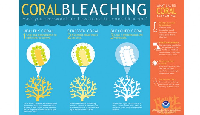 Photo: NOAA