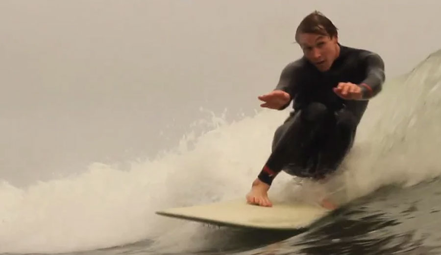 Our Daily Shred