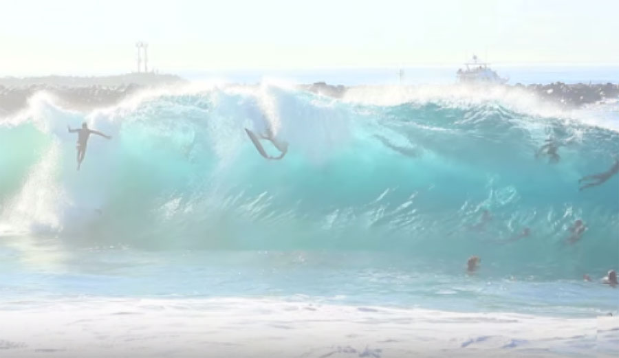 THE WEDGE