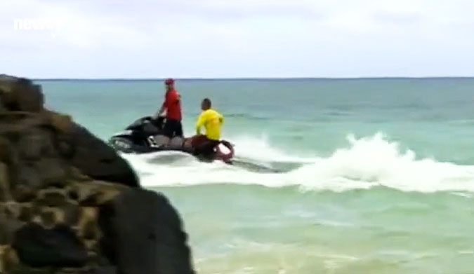 shark attacks