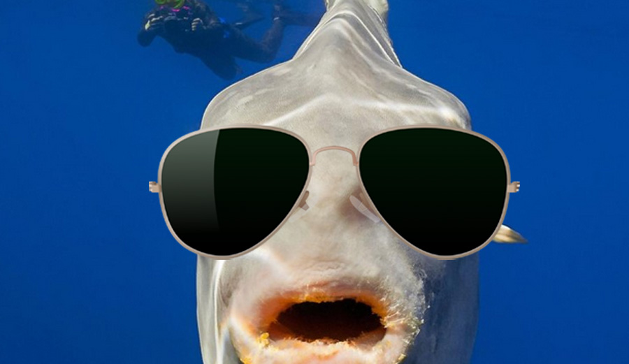 Doesn't matter what you wear or how you wear 'em. Get some shades to protect those corneas. Photo: BBC News