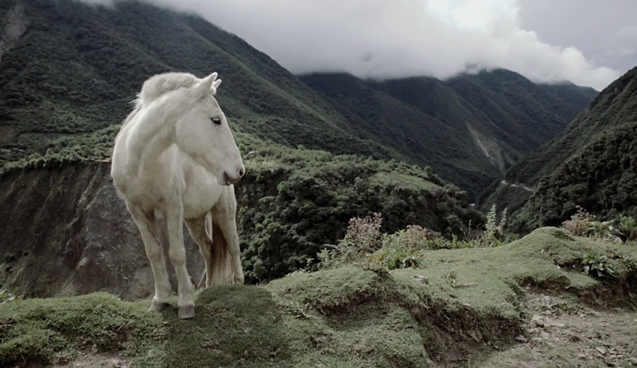 Screenshot: David Bertschinger Karg