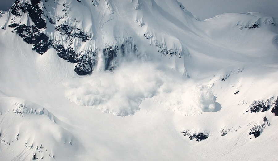 Screenshot: Trent Meisenheimer
