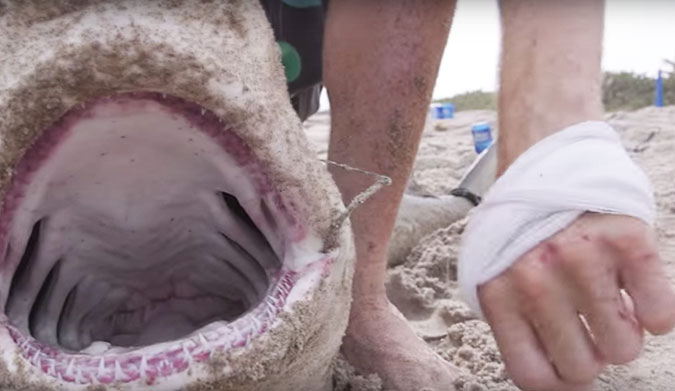 The commercial fisherman ended up with 15 stitches and and a taste for revenge.