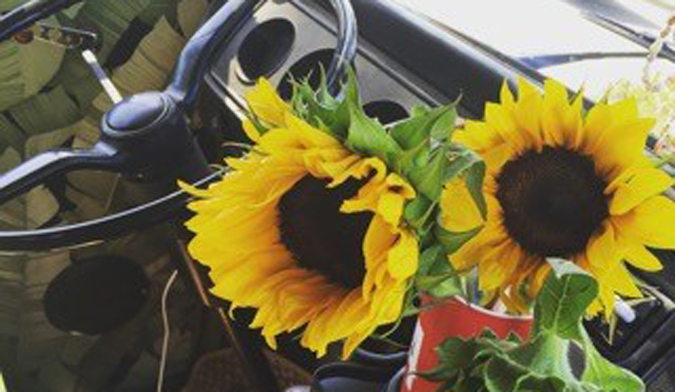 Sunflowers are such happy flowers. They always make me smile. Photo: Bob Cooney