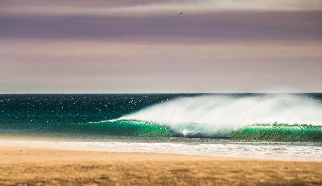 200 Best Photos of 2015