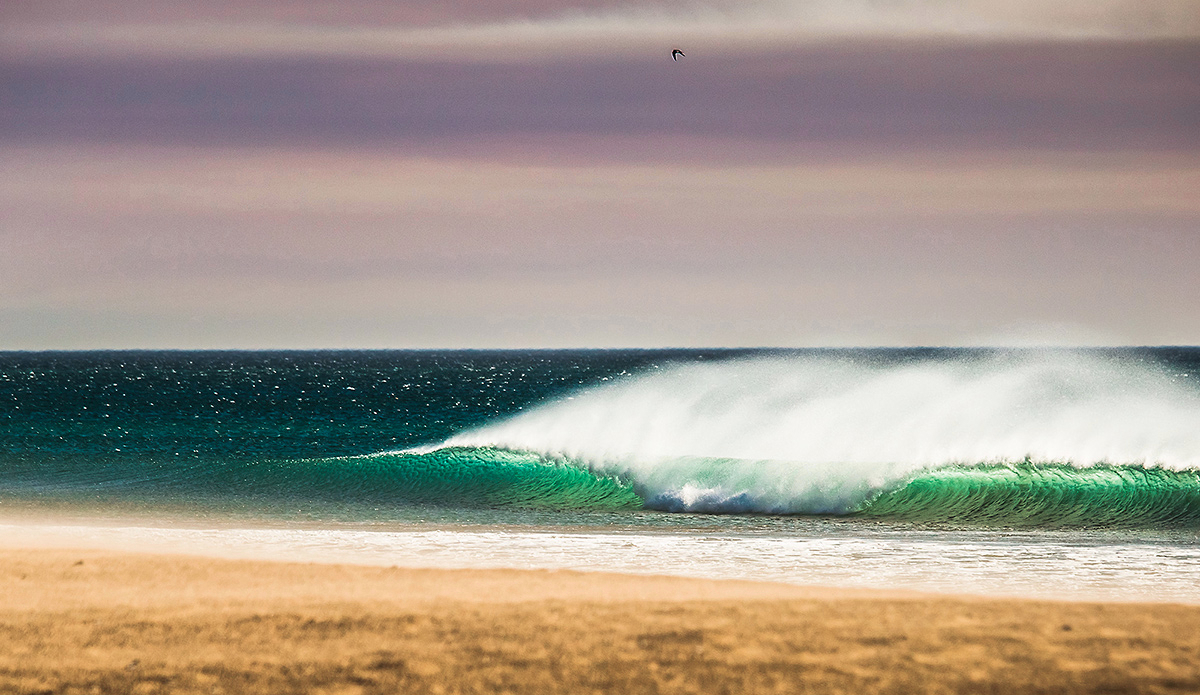 200 Best Photos of 2015