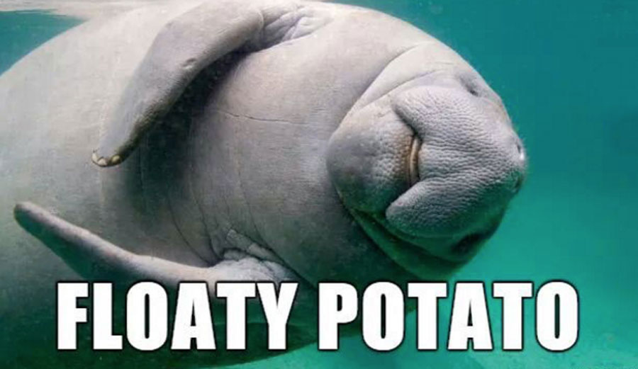 Floaty potato