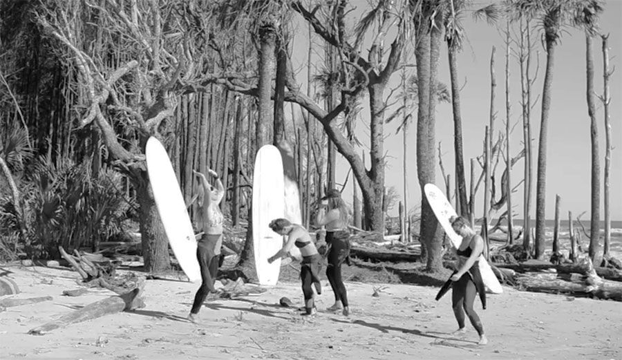 Ladies, Waves, and Cheese