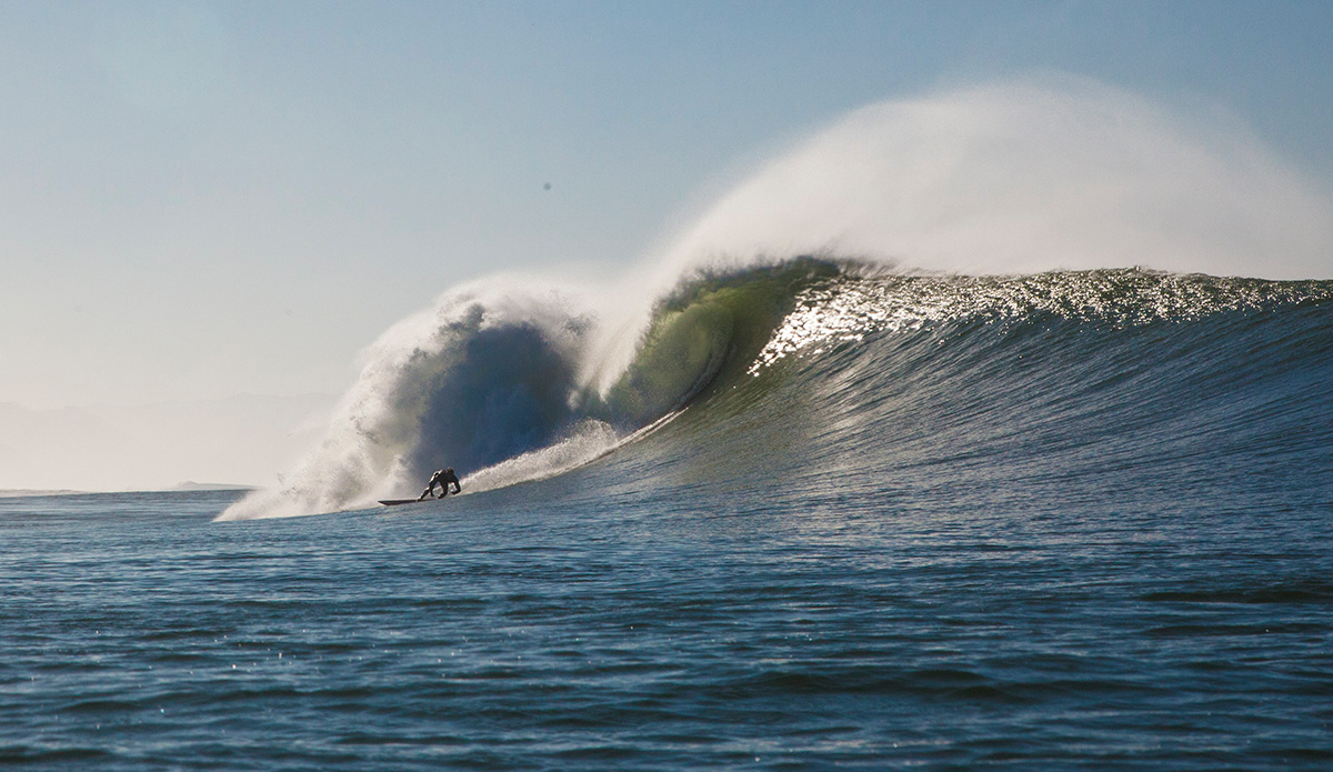 Photo: Sachi Cunningham