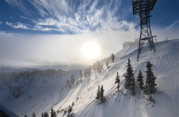 Photo: Snowbird