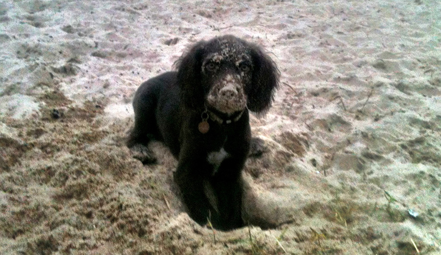 Rufio, hamming it up from the start. Photo: Matt H-B