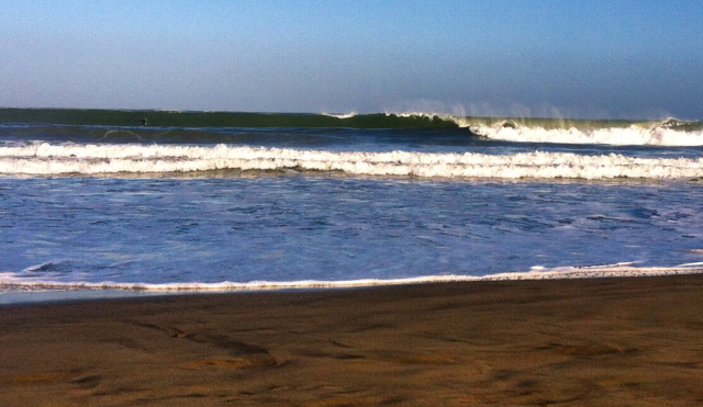 A surfer's gotta do what a surfer's gotta do. Photo: Neko Catanzaro