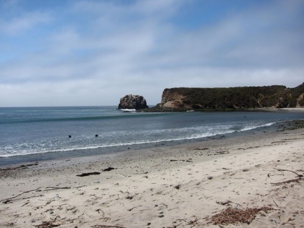 Picture3