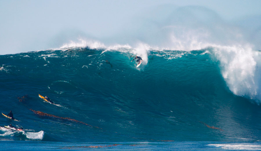Todos Santos, November 2010. Photo: Tony Zacharek