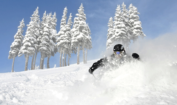 washingtonpow2