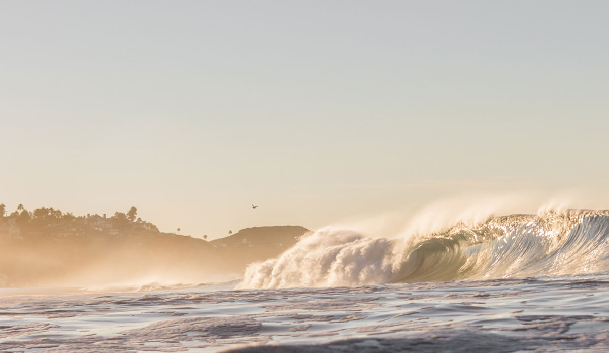 So far this winter, El Nino has treated us pretty well.